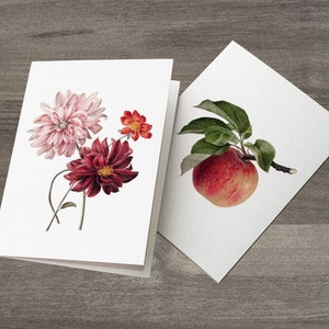 10 Autumn Recycled Greeting Cards | Fall Floral Greeting Cards Set ...
