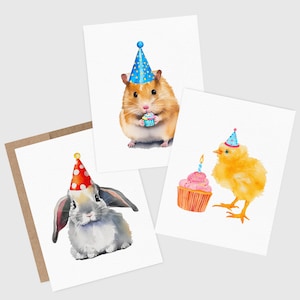 Birthday Card Pack | Cute Animal Birthday Cards | Happy Birthday Card Set | Blank Inside