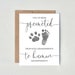 Dog Grandparents | Pregnancy Announcement Card to Parents | Promoted to Grandparents | New Baby Card 