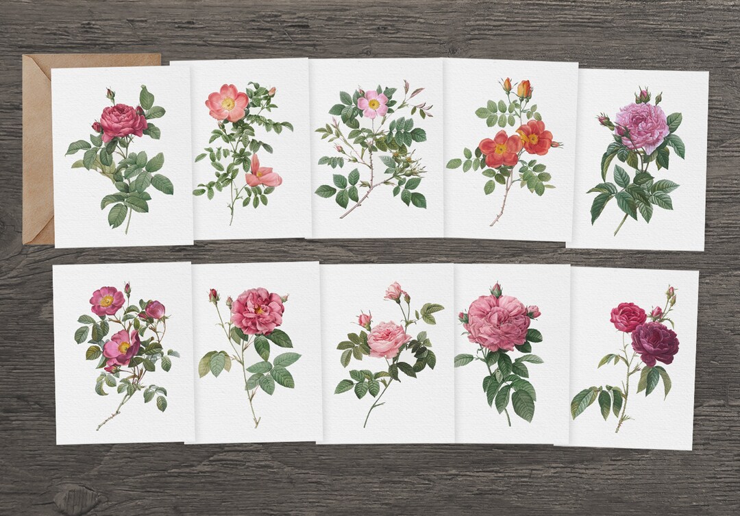 10 Rose Recycled Greeting Cards | Flower Greeting Cards Set | Flower ...