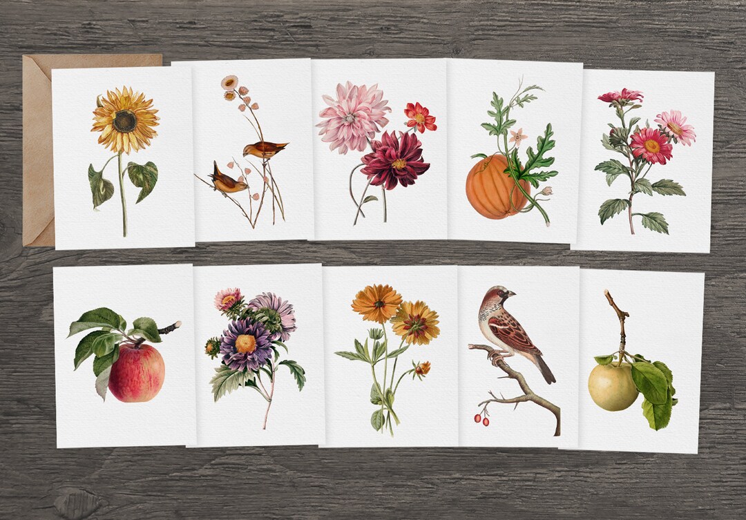 10 Autumn Recycled Greeting Cards | Fall Floral Greeting Cards Set ...