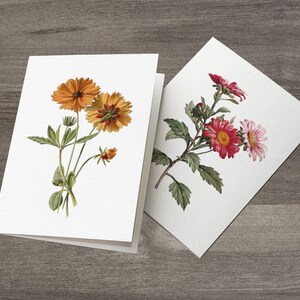 10 Autumn Recycled Greeting Cards | Fall Floral Greeting Cards Set ...
