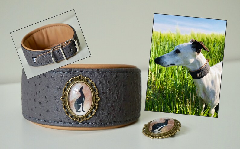 WINDHUND Lederhalsband Mit Kristallen – Halsumfang 33–38 Cm, 60 Mm Breit, Schwarz-weiß