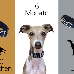 hundefutter gratis probe Futterprobe main image 1