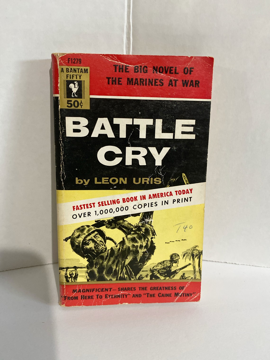 Battle cry essay 04 picture