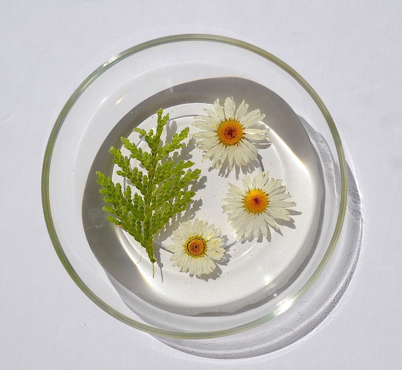 flower jewellery dish pressed flower glass trinket dish Resin trinket dish flower dish Ring Dish resin ring dish preserved flowers