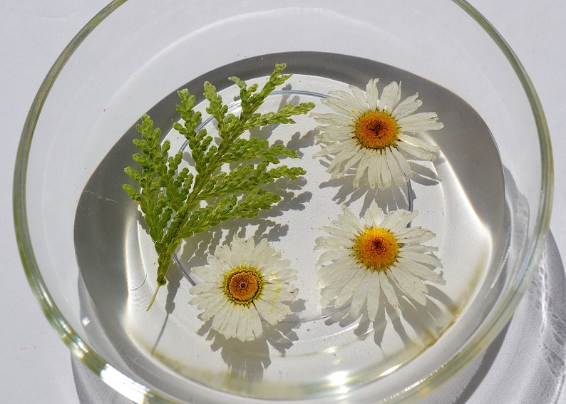 flower jewellery dish pressed flower glass trinket dish Resin trinket dish flower dish Ring Dish resin ring dish preserved flowers