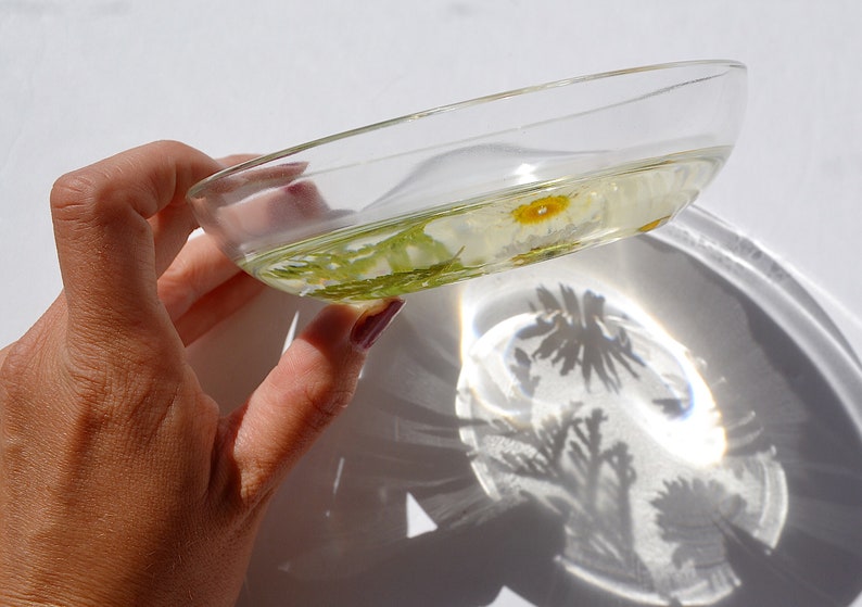 flower jewellery dish pressed flower glass trinket dish Resin trinket dish flower dish Ring Dish resin ring dish preserved flowers