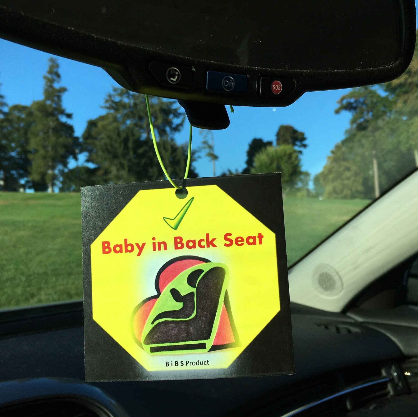 Baby in Back Seat Reminder Etsy