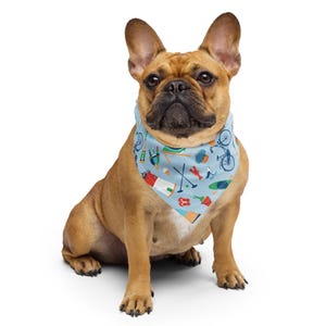 Cape Cod, MA Bandana imprimé intégral pour animaux de compagnie et humains