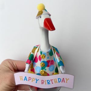 Birthday Goose Costume (mini) image 1