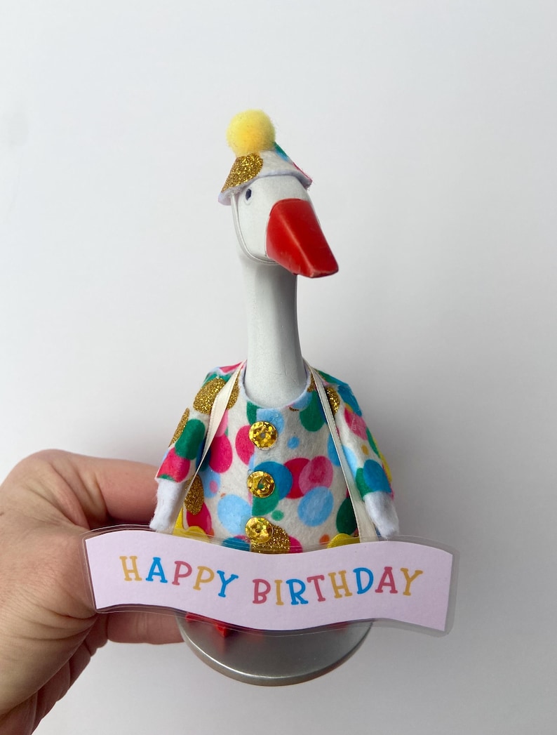 Birthday Goose Costume (mini) image 1