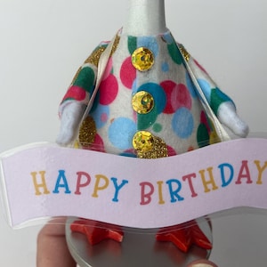 Birthday Goose Costume (mini) image 5