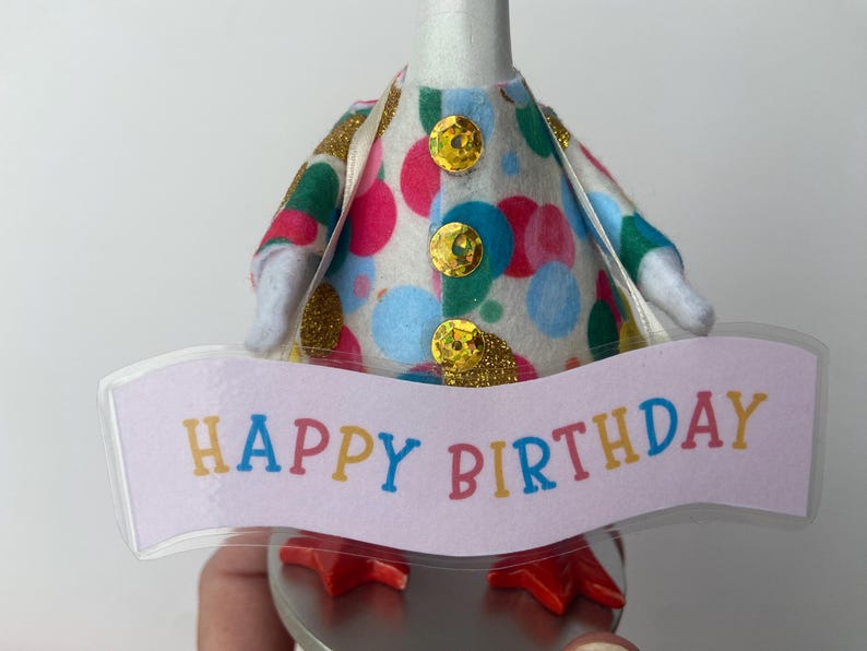 Birthday Goose Costume (mini) image 5