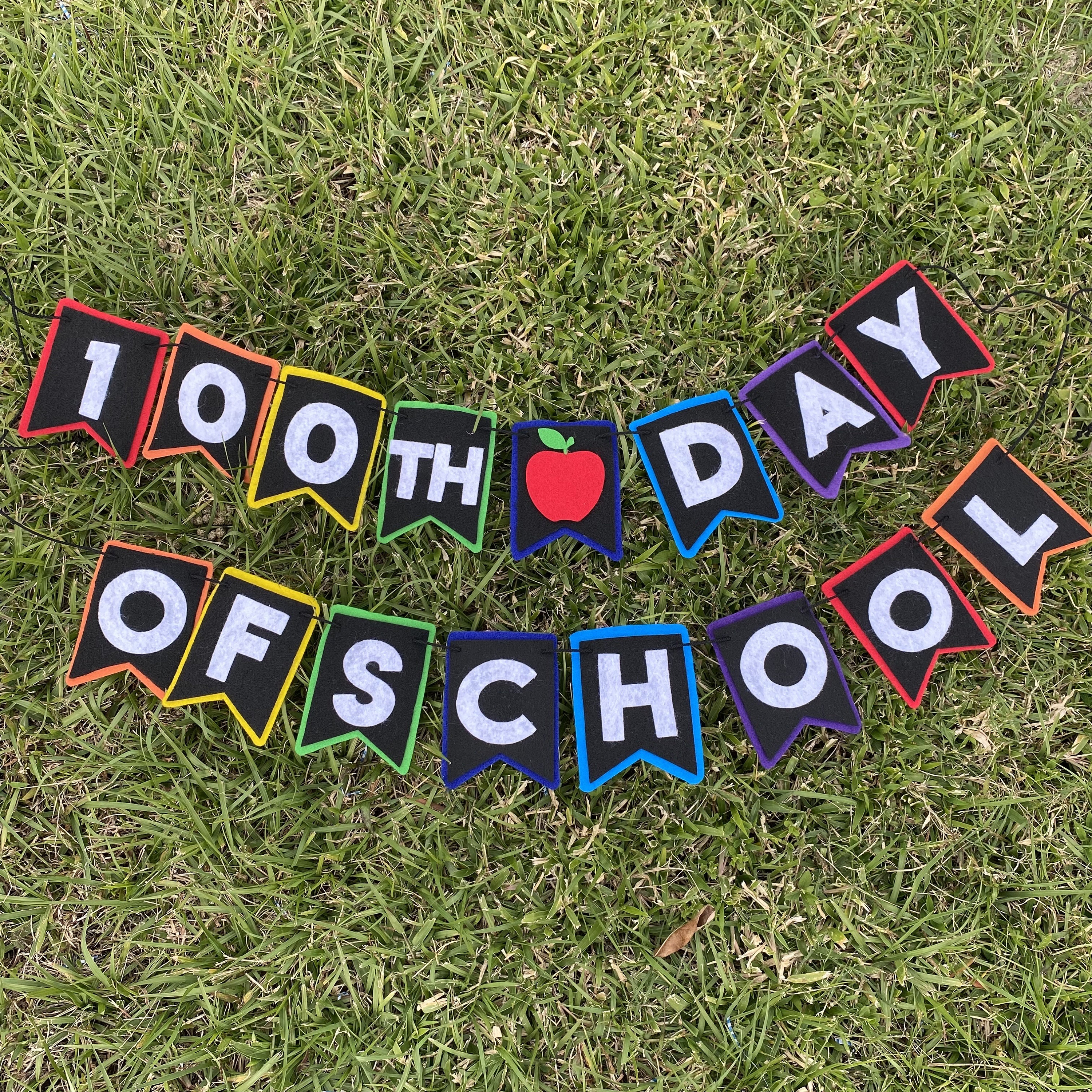 100th Day of School Felt Banner, 100 days felt banner, classroom decorations, teacher classroom banner, one hundred days celebration
