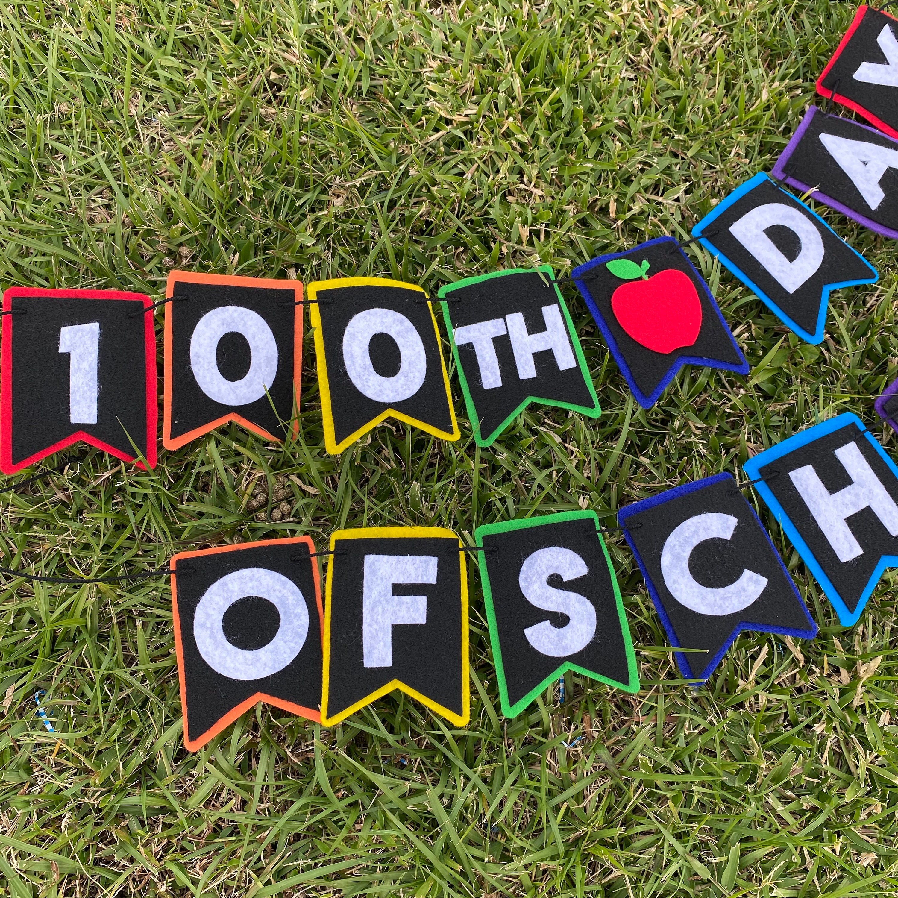 100th Day of School Felt Banner, 100 days felt banner, classroom decorations, teacher classroom banner, one hundred days celebration