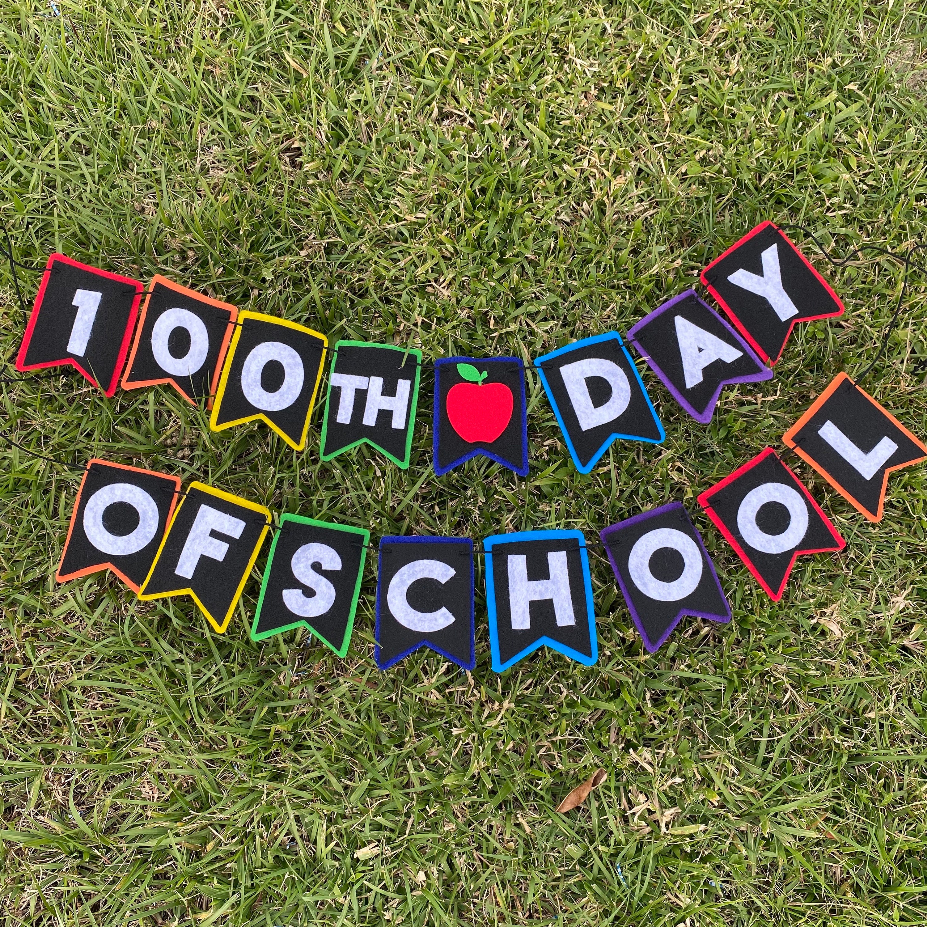 100th Day of School Felt Banner, 100 days felt banner, classroom decorations, teacher classroom banner, one hundred days celebration