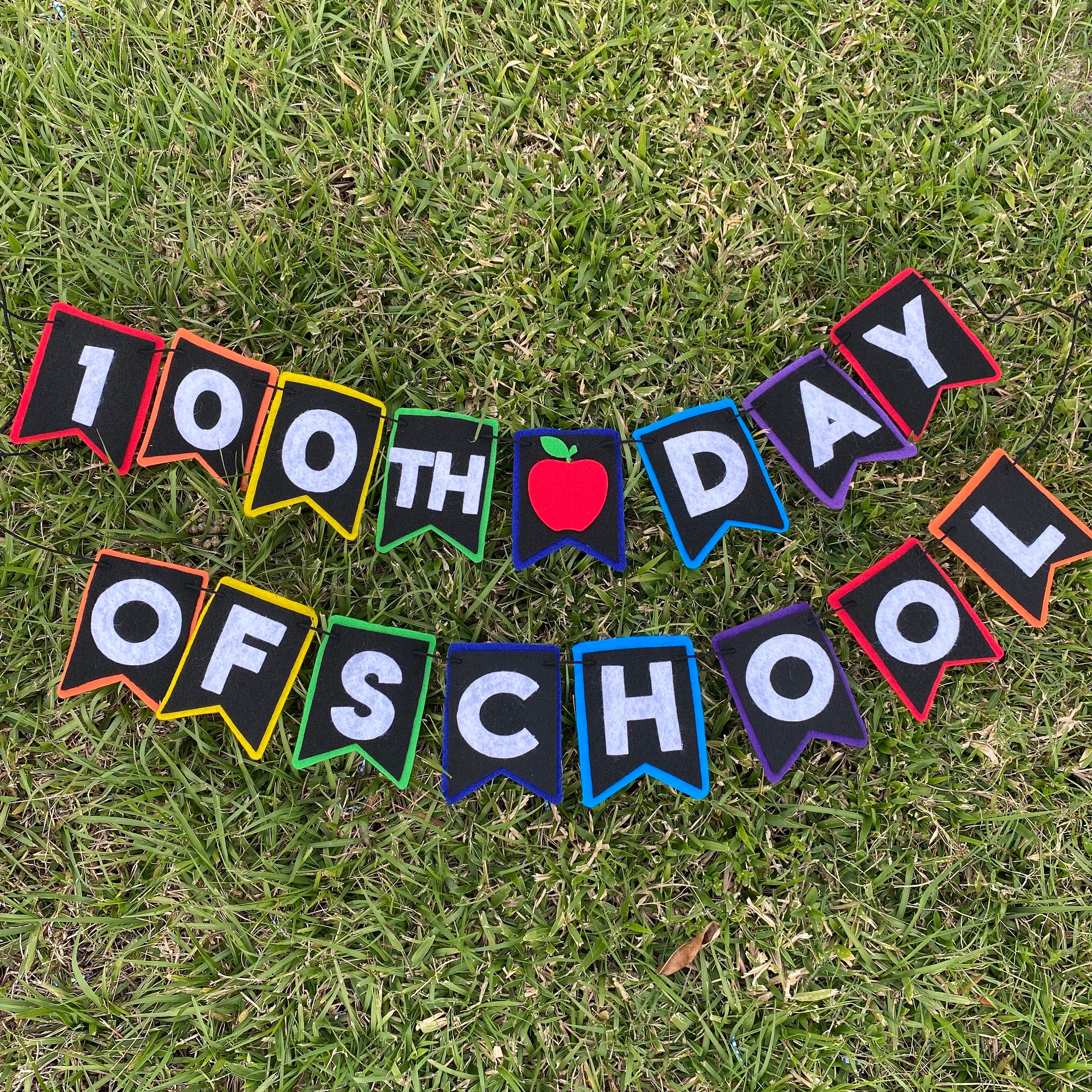 100th Day of School Felt Banner, 100 days felt banner, classroom decorations, teacher classroom banner, one hundred days celebration
