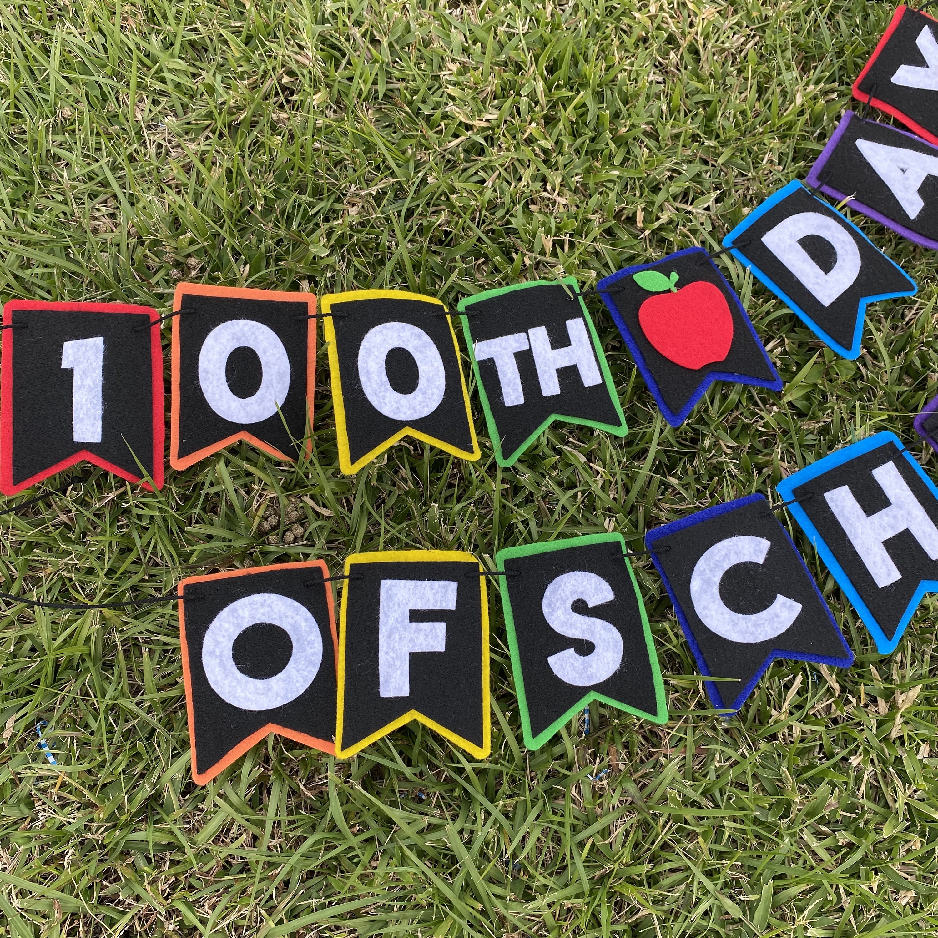 100th Day of School Felt Banner, 100 days felt banner, classroom decorations, teacher classroom banner, one hundred days celebration