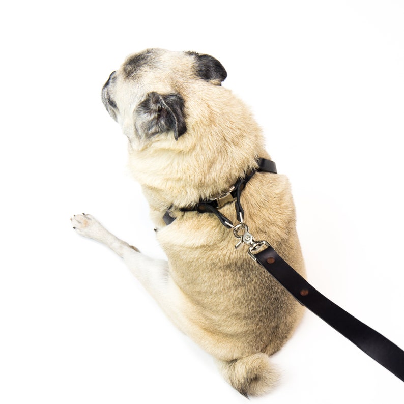 Dog Harness and Leash Set Personalized Step In Black Leather Harness and Leash Custom Dog Harness Dog Leash Step In Harness Pug Harness