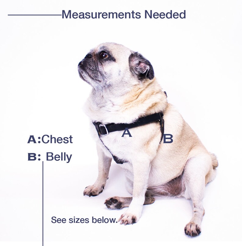Dog Harness and Leash Set Personalized Step In Black Leather Harness and Leash Custom Dog Harness Dog Leash Step In Harness Pug Harness