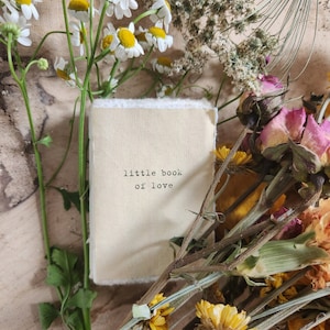 Little Book of Love