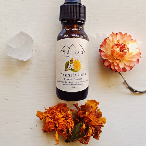 Protection Boundaries Flower Essence for Empaths Etsy