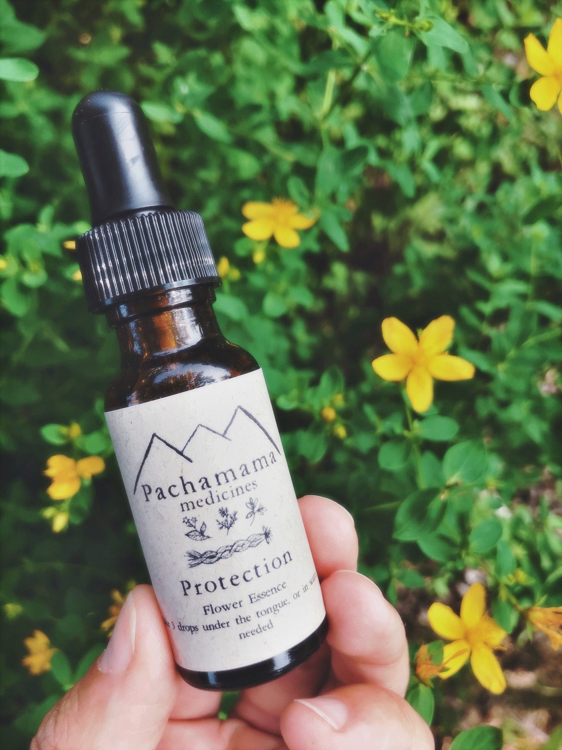 Protection Boundaries Flower Essence for Empaths Etsy