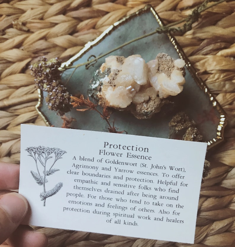 Protection Boundaries Flower Essence for Empaths Etsy UK
