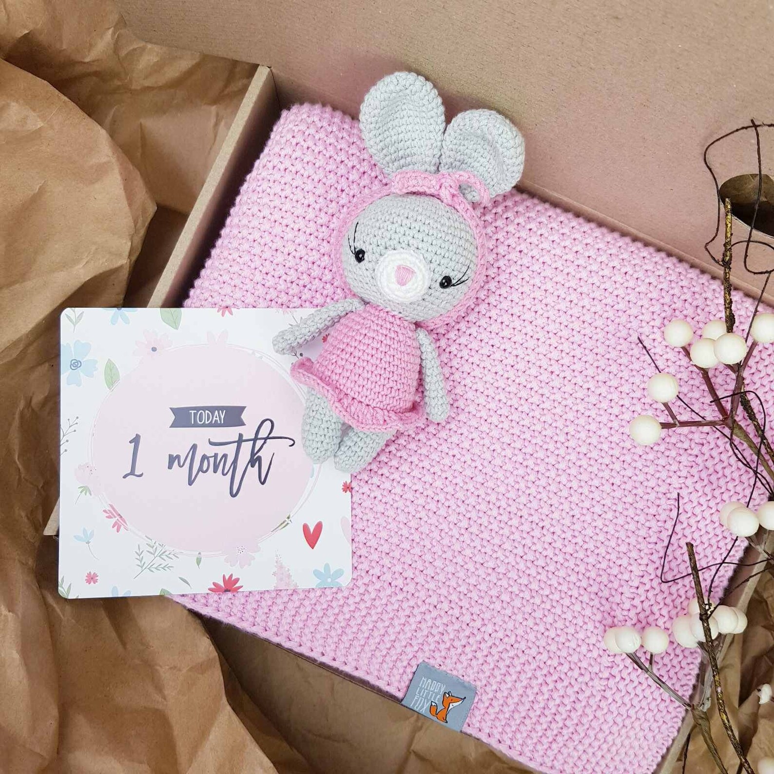 Crochet baby blanket box set Milestone cards gift for baby Etsy