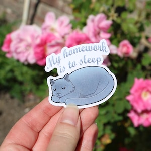 Adesivos de volta às aulas com gatos fofos | adesivos escolares | adesivos de gatos fofos | adesivos kawaii | gato ruivo | gato cinza | gato preto