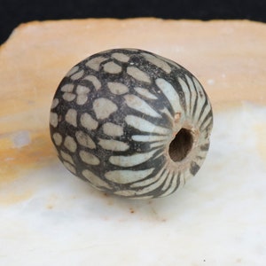 Oude Jatim glaskraal