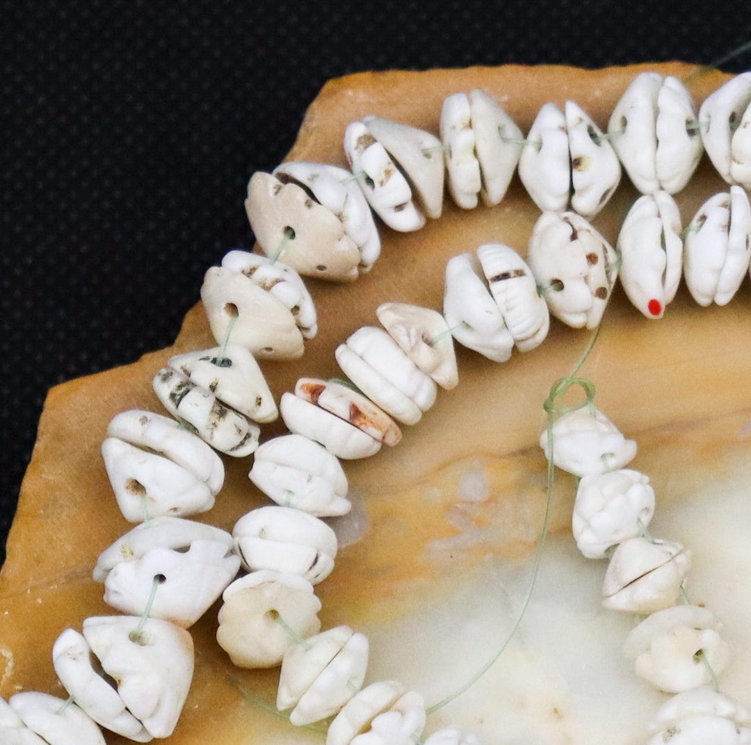 Worked Shell 148 Antique Worked Shell Beads - Etsy