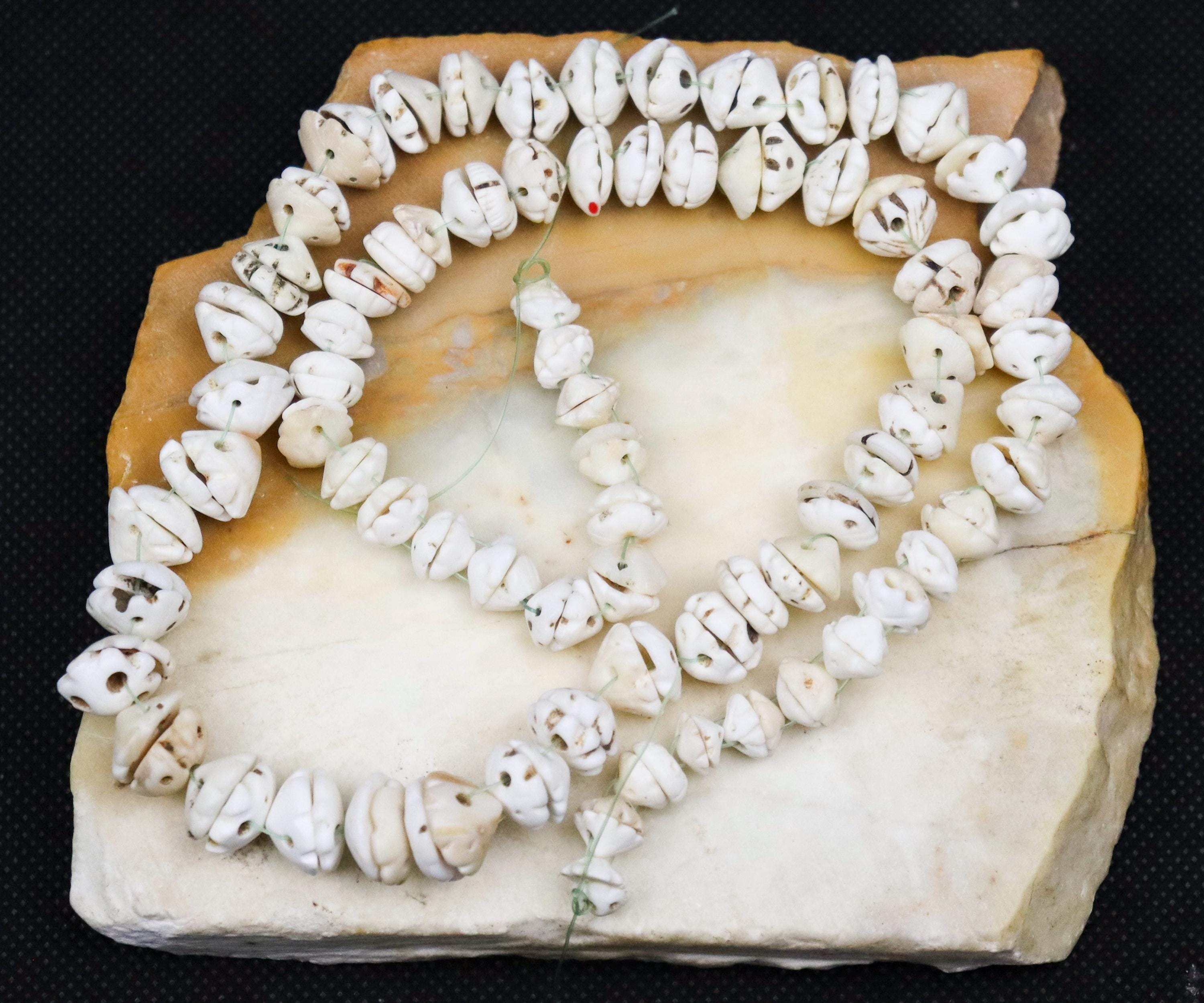 Worked Shell 148 Antique Worked Shell Beads - Etsy