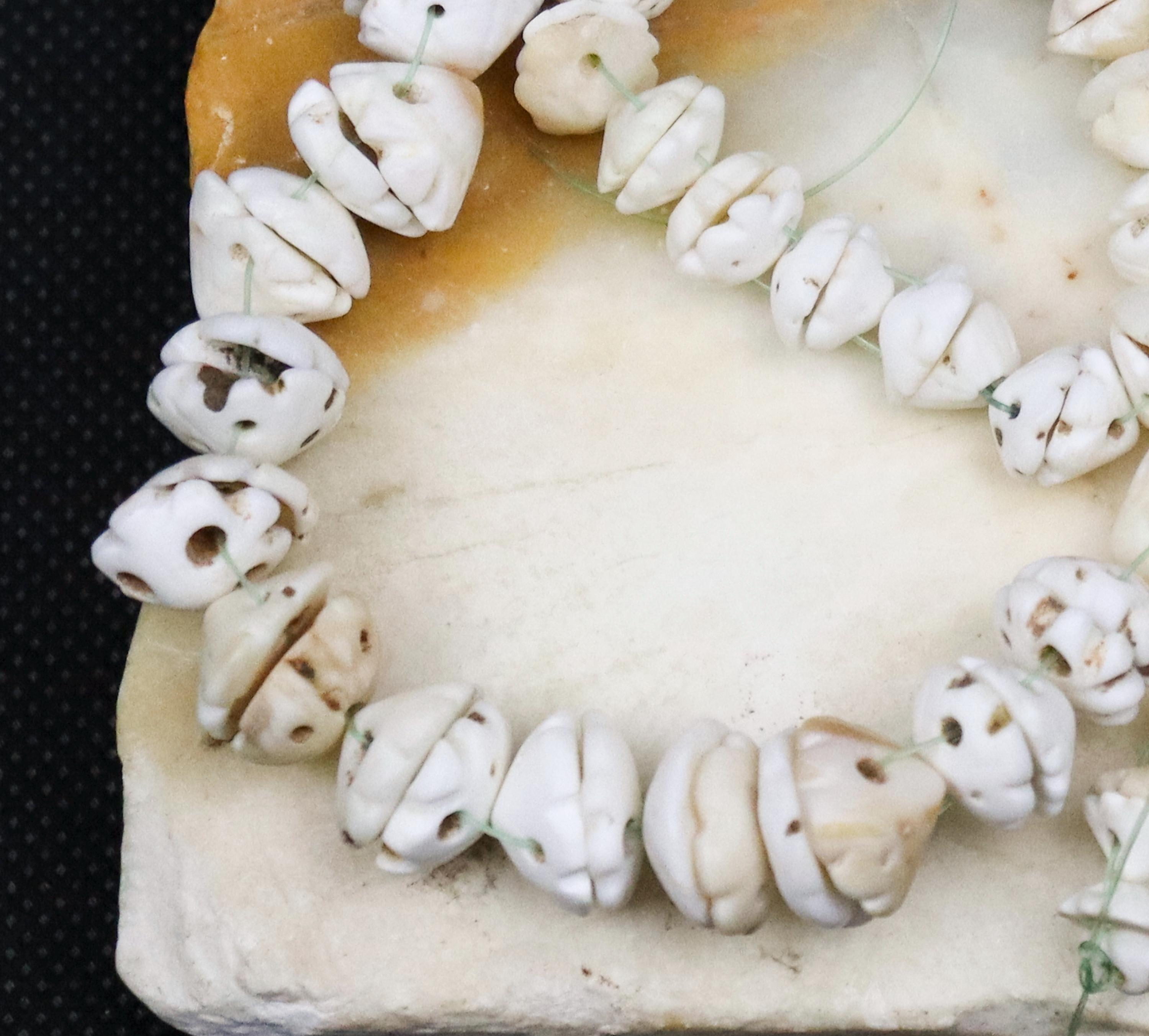 Worked Shell 148 Antique Worked Shell Beads - Etsy