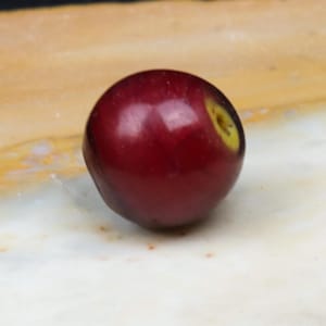 Venetian trade bead “Cornaline d’Aleppo”