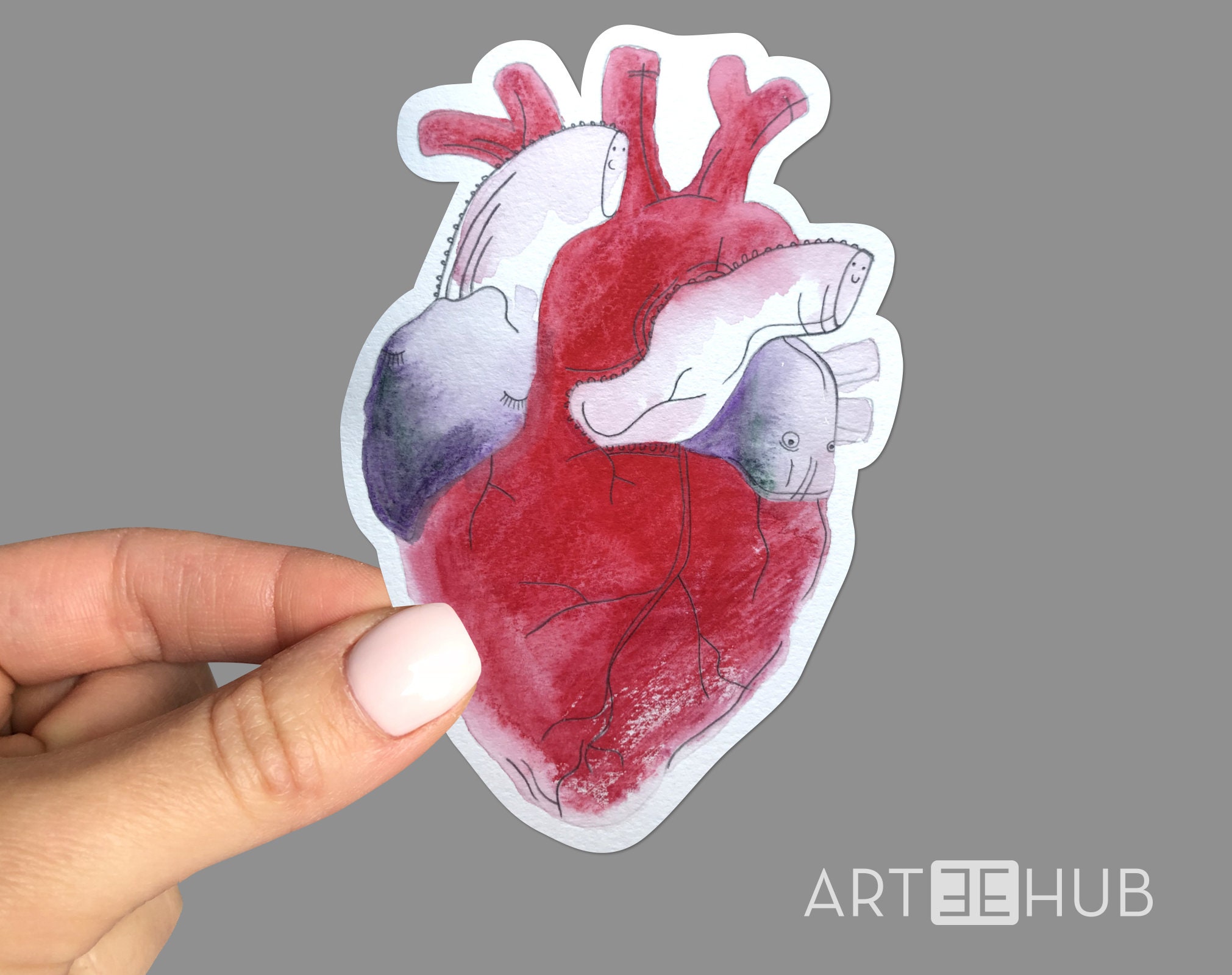 Anatomical Heart Anatomical Heart Laptop stickers Vinyl Etsy