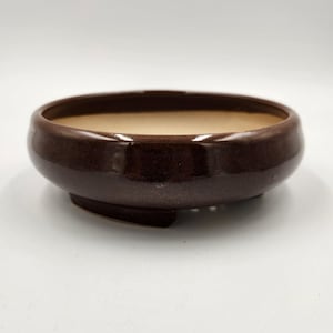 Bonsai pot, Succulent Pot, Shallow Planter, Handmade by Hometown Potters