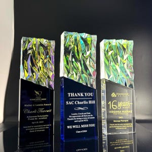 Personalized Crystal Award: Unique Employee Recognition Trophy