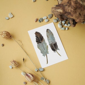 Adlerfeder Blanko Aquarell Grußkarten | Symbol der Stärke Grußkarten | Adler Feder Kunst |