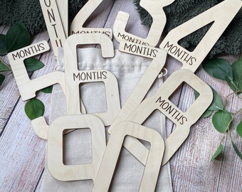 Number Milestone Infant Photo Prop | Months 1-12