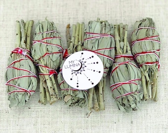 California White Sage Bundles | Smudging Chakra Balancing | White Sage | Healing Incense | Protection | Spiritual Cleansing | Organic Sage