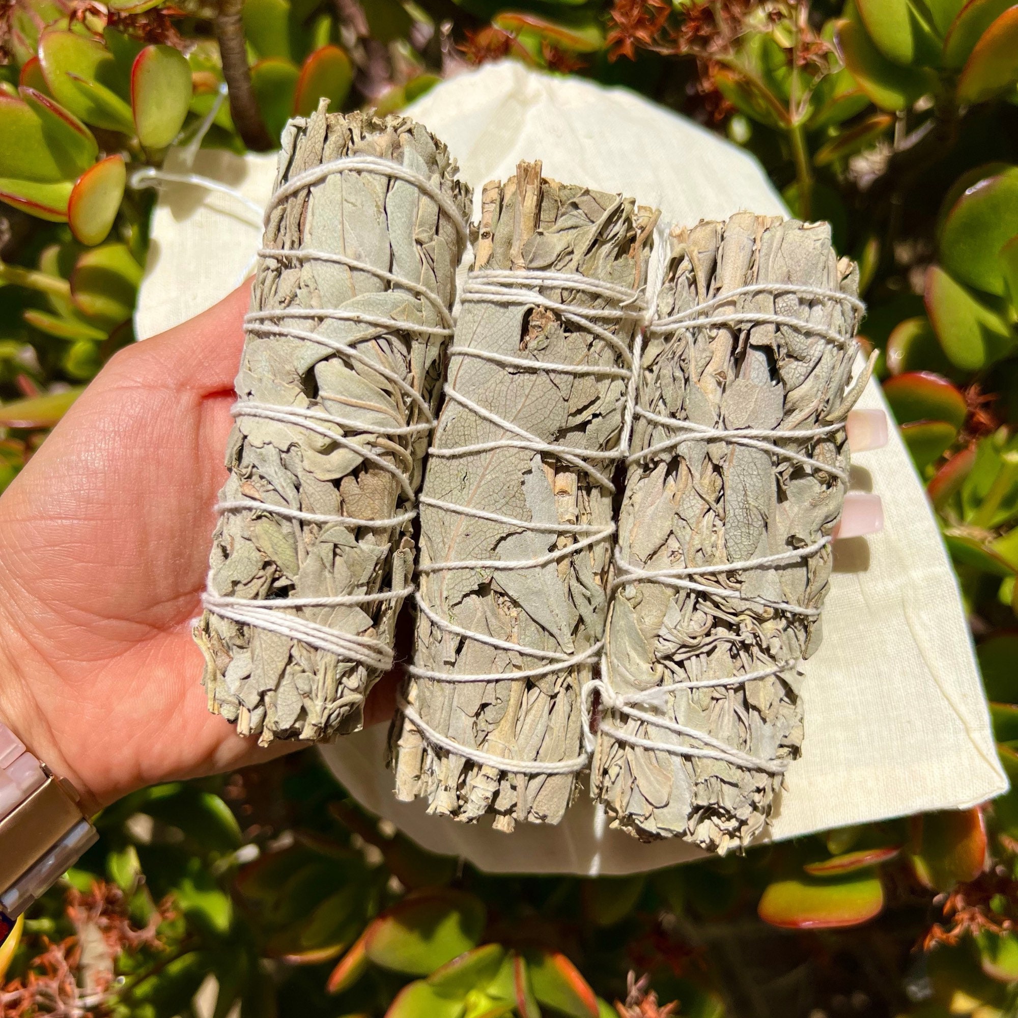 3 Pack White Sage Smudge Sticks Perfect Sage Stick Smudge Etsy