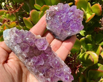 Amethyst Small Clusters | Amethyst Crystal | Healing Crystals | Amethyst Purple Tumbled Chips | Amethyst Clusters Royal Purple |