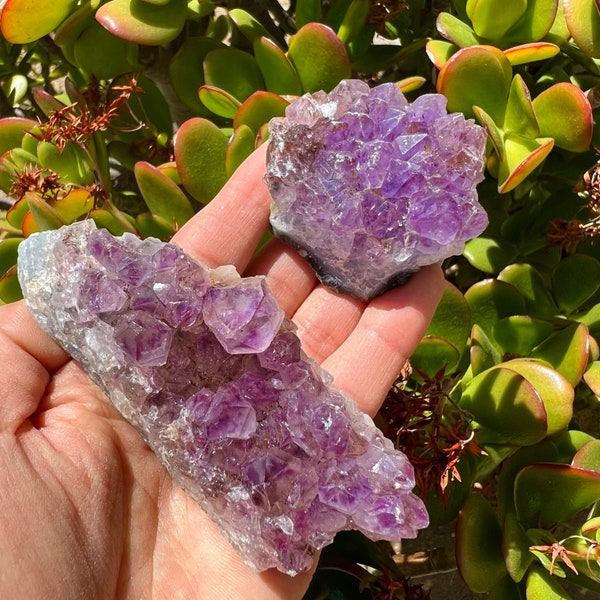 Amethyst Small Clusters | Amethyst Crystal | Healing Crystals | Amethyst Purple Tumbled Chips | Amethyst Clusters Royal Purple |