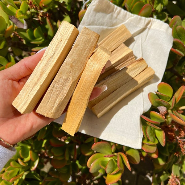 Large Palo Santo Sticks for Smudge | Cleansing and Protection | Holy Wood for Energy Cleansing | Meditation | Authentic Holy Wood |