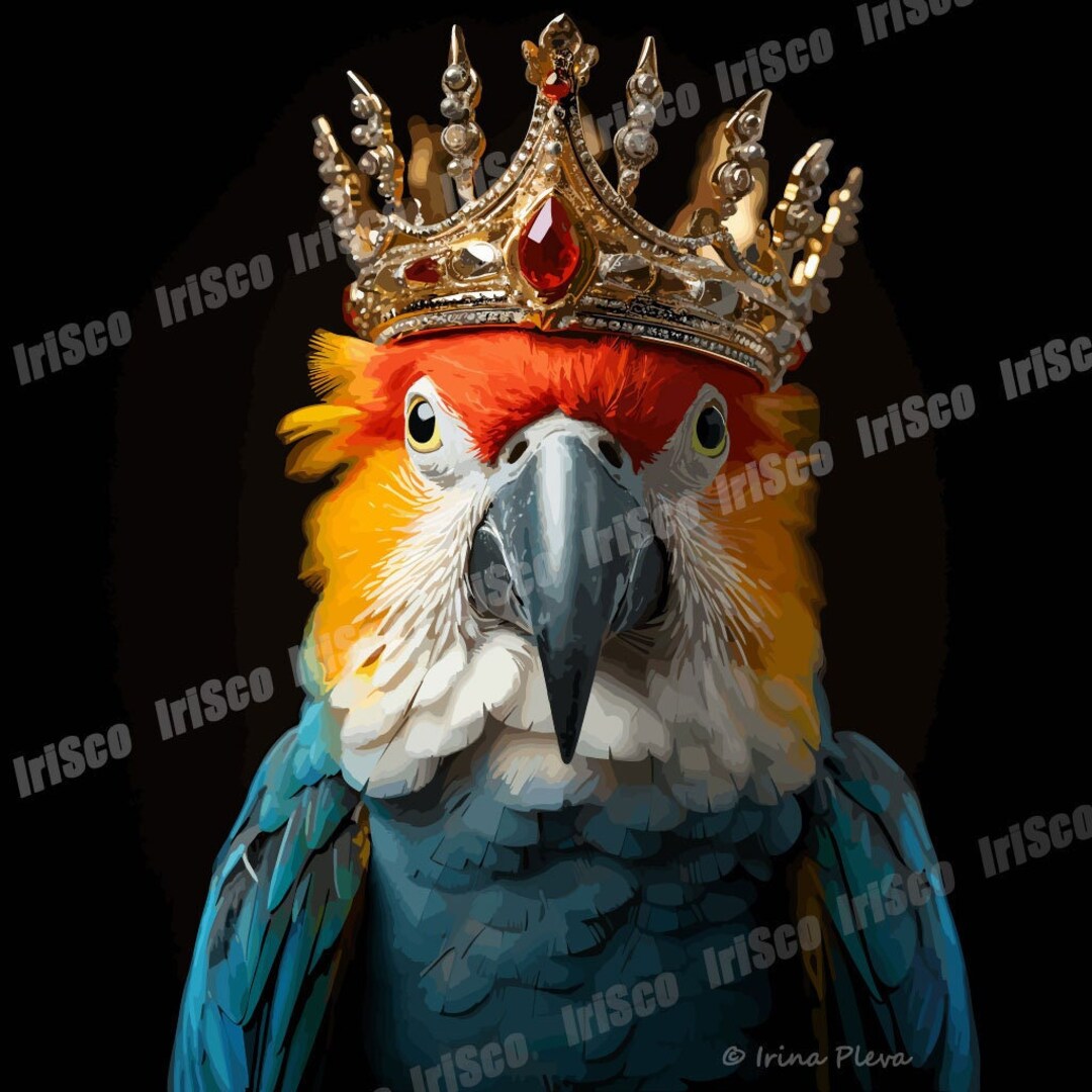 Parrot Ruler Vector Clipart Parrot - King, Ruler, Leader, in Png, Svg, Ai, Png ...