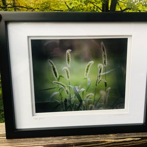 Tall Grass (framed with shadow box matting)