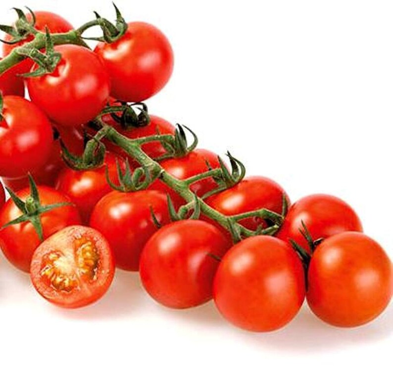 Cherry Tomato Seeds 125 SEEDS SAME DAY SHIPPING