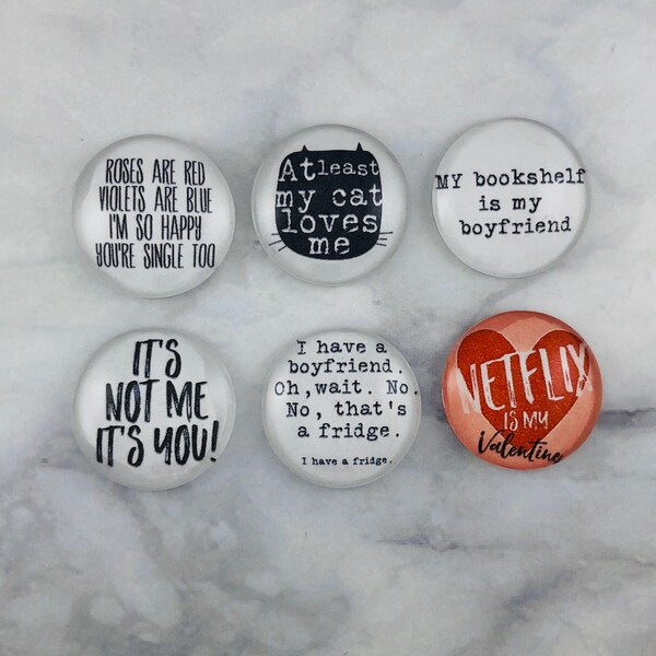 Anti-Valentines day magnets, i love my cat magnets, i hate valentines day, forever single, its not me its you, netflix is my valentine, gift